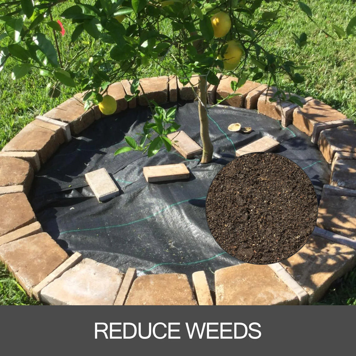 SucceBuy Durable Landscape Fabric Weed Barrier Geotextile Ground Cover