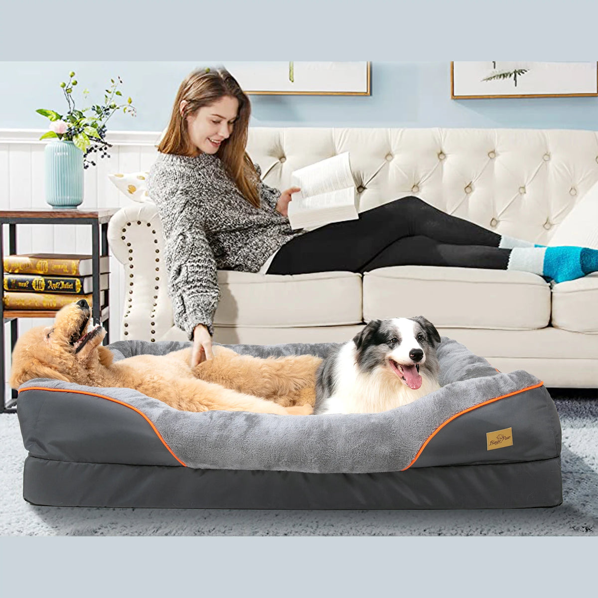 Bingopaw Comfy Dog Bed With Removable Washable Waterproof Cover
