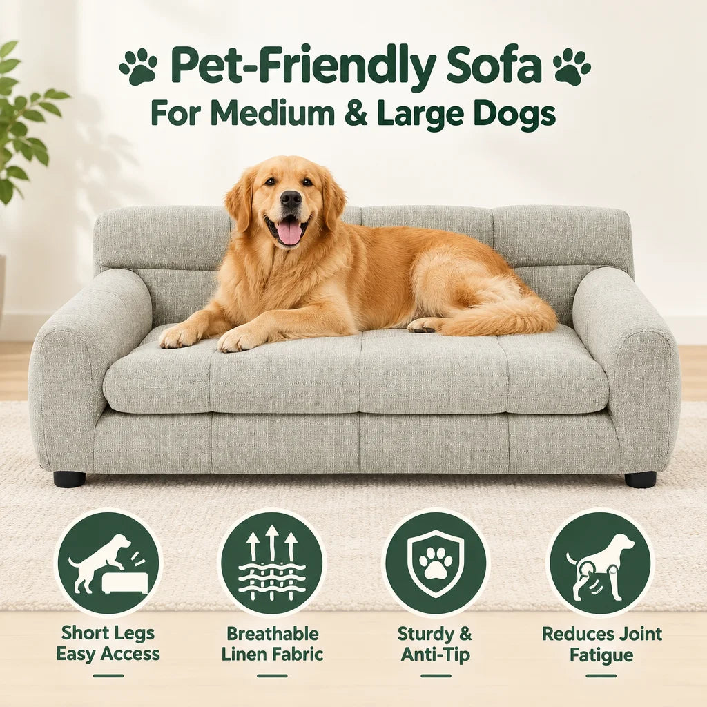 Modern Comfortable Dog Recliner Sofa With Backrest And Armrests