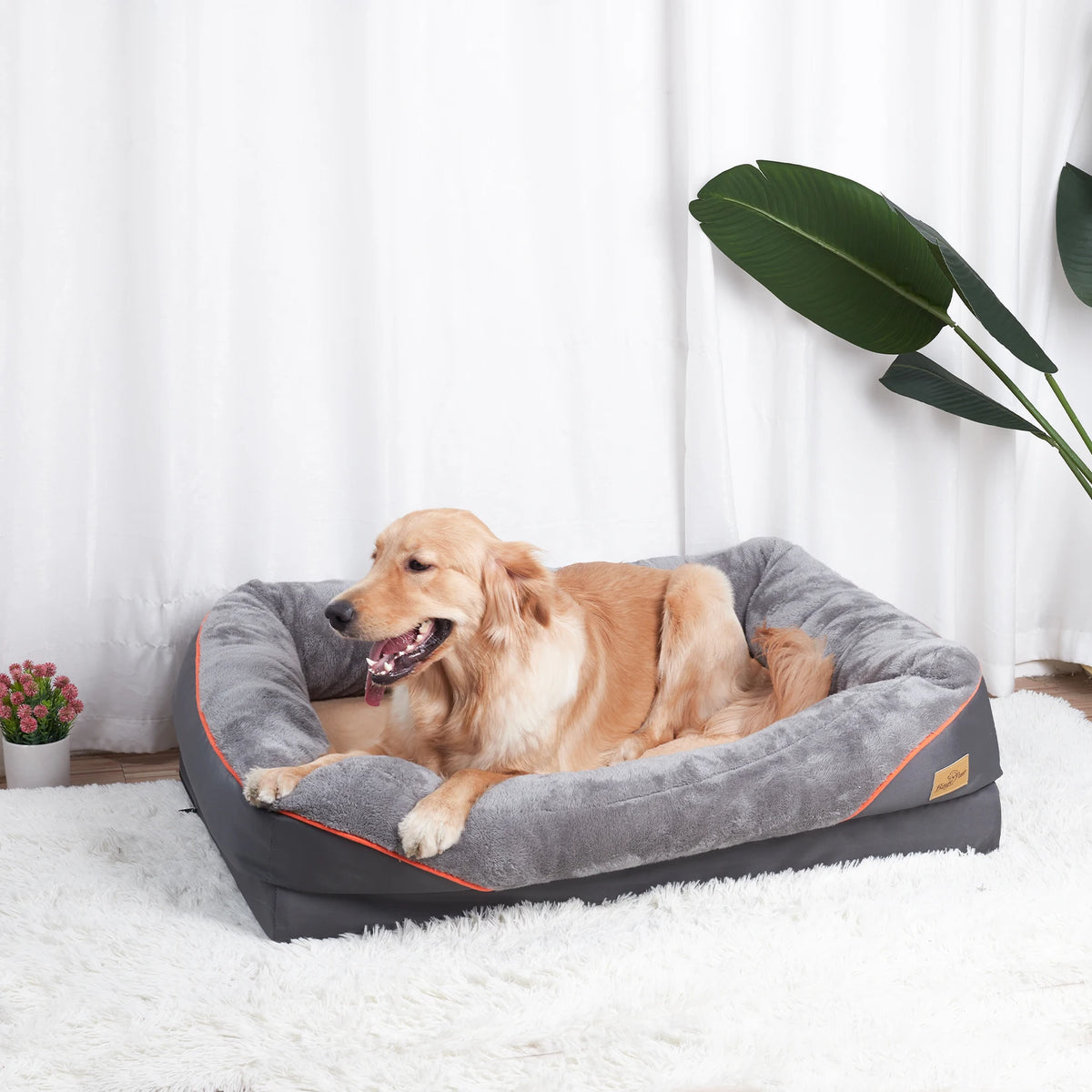 Bingopaw Comfy Dog Bed With Removable Washable Waterproof Cover