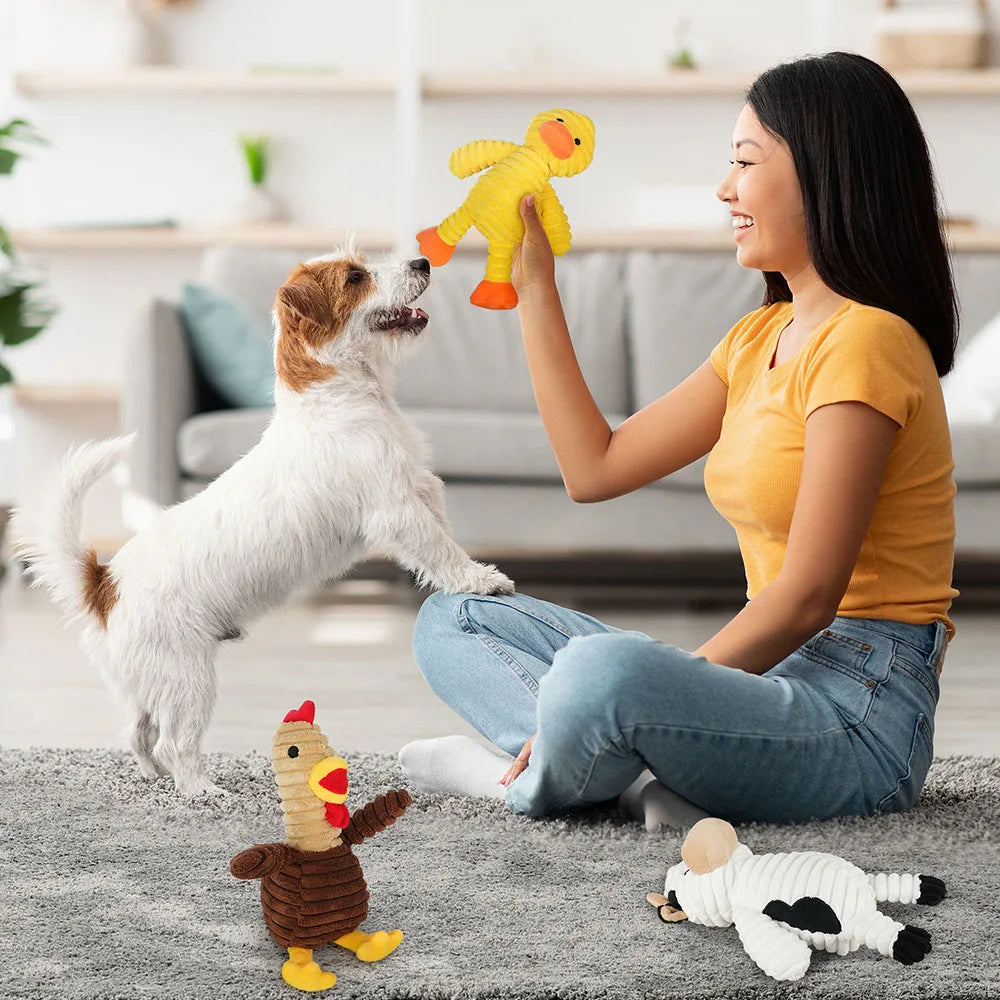Premium Plush Squeaky Dog Toys Pet Chew Play Bundle